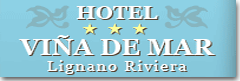 Hotel Vina De Mar