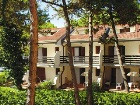 Villa Carpinelle_Gold